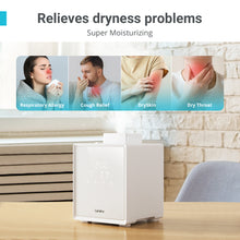 Load image into Gallery viewer, 3L Warm Mist Stainless Steel Humidifier