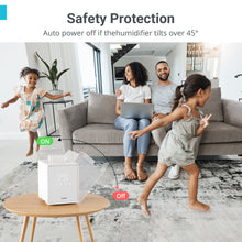 Load image into Gallery viewer, 3L Warm Mist Stainless Steel Humidifier